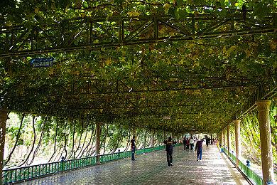 业内消息称《辐射3》重制仍在开发 正式亮相还需时日